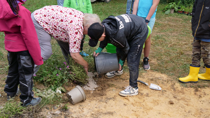 dann werden Blumen für die Wildbienen gepflanzt