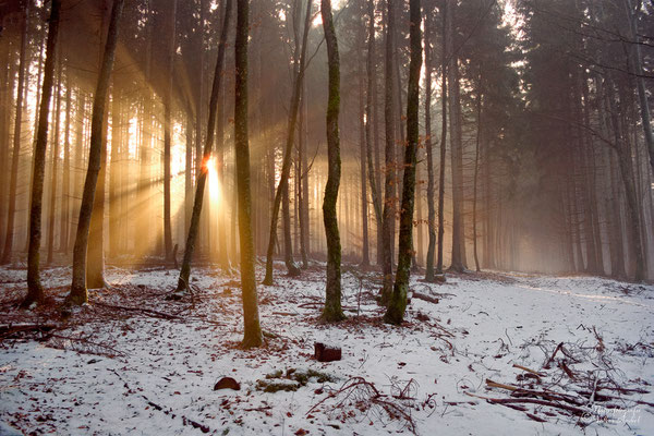 Sonnenaufgang im Hegau, Baden Württemberg