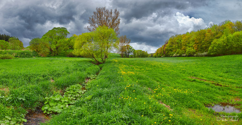Frühling im Katztal, Thüringer Rhön