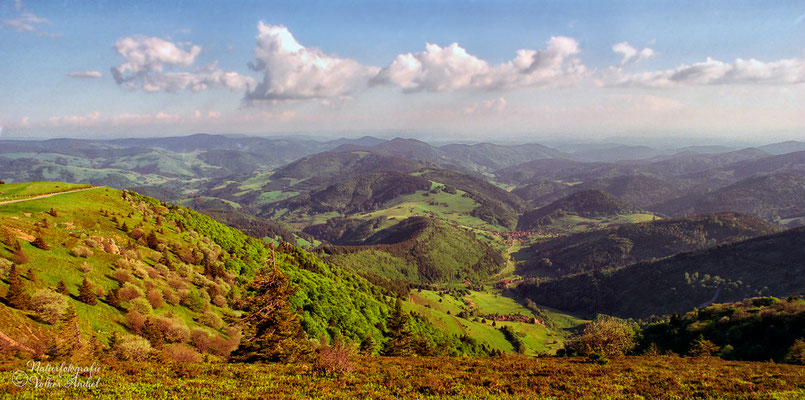 Ausblick vom Rosenfelsen am Belchen nach Oberböllen