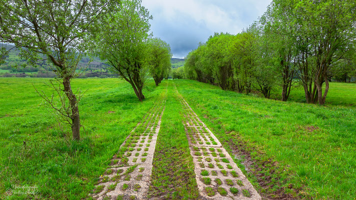 Kolonnenweg, ehemalige innerdeutsche Grenze bei Oberweid, Thüringer Rhön
