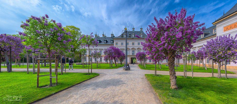 Im Fliederhof, 1860 angelegt, stammen die derzeitigen Bäume aus der zweiten Pflanzung