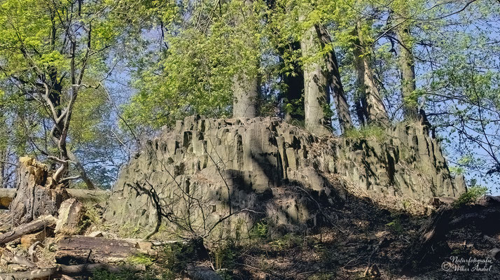 Basaltsäulen auf dem Rosenberg