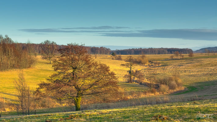 Winter ohne Schnee am Erzgebirgskamm kommt immer häufiger vor, bei Liebenau