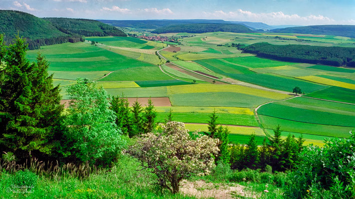 Blick vom Fürstenberg in die Baar