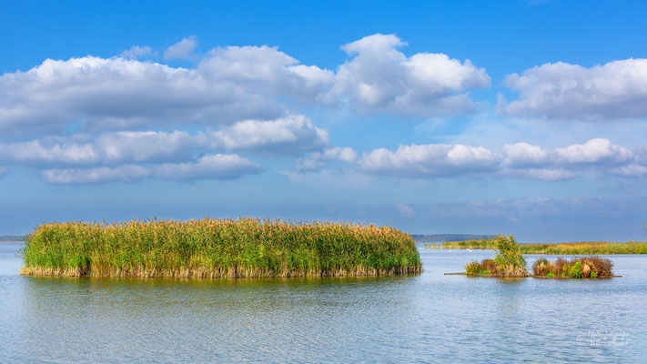 Vogelparadies Täkernsee, Der Vogelsee Tåkern liegt im Südwesten der Ebene Östergötlands, direkt östlich des Ohmberg und des Vättern-Sees