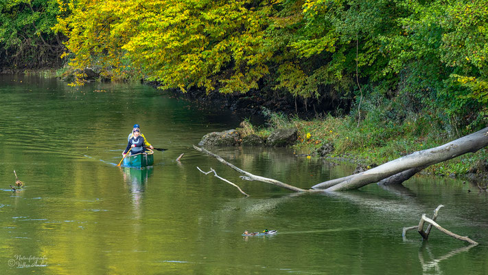 im Kanu auf der Donau
