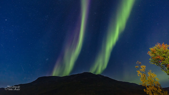 Polarlichter ziehen über den Himmel, Langfjordbotn