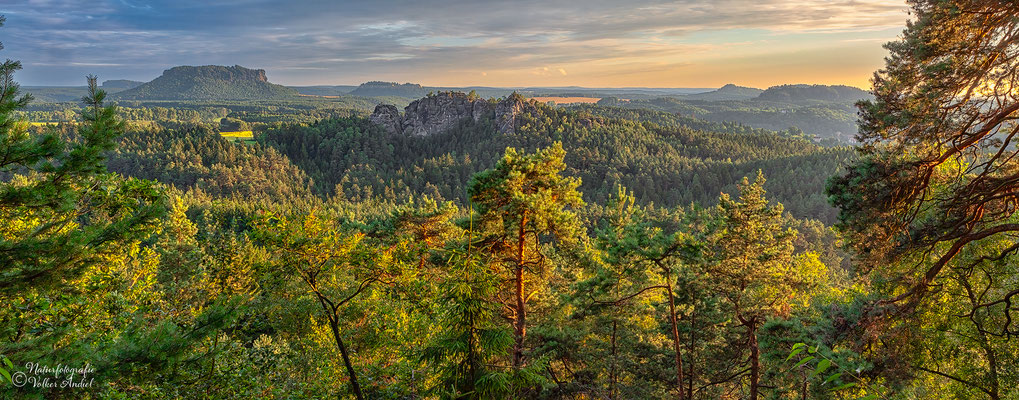Blick über den Gamrig zum Lilienstein und der Festung Königstein