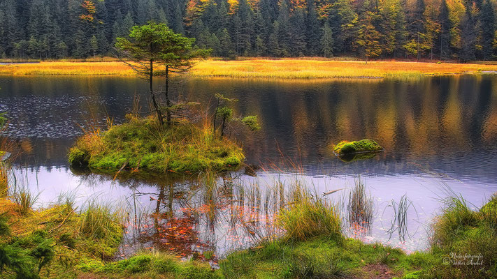 Kleiner Arbersee Bayrischer Wald