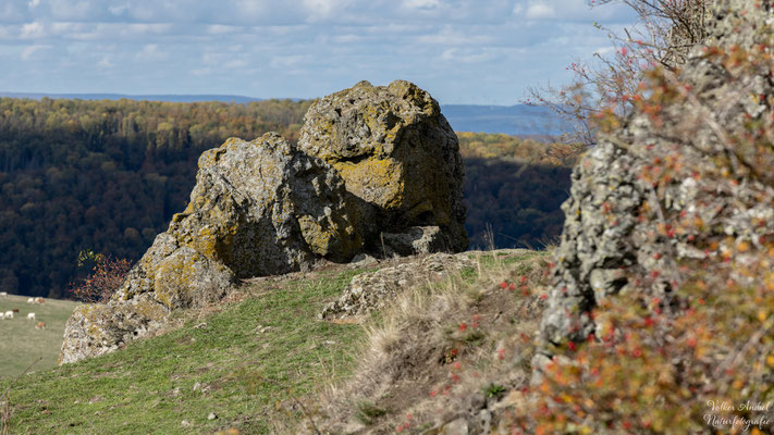Helfensteine am Dörrnberg