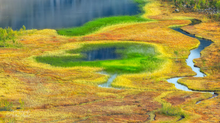 kleines Sumpfgebiet in der Finnmark