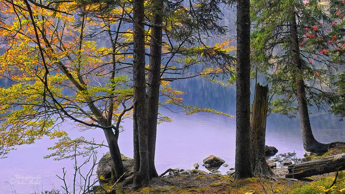 Blick auf den Schwarzen See