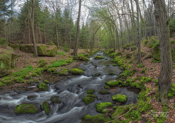Frühling im Bahratal