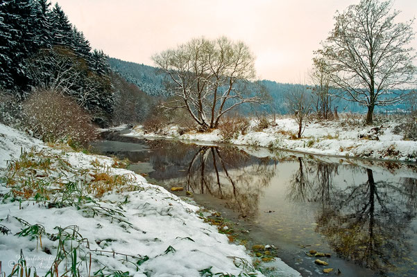 An der Donauversickerung zwischen Immendingen und Möhringen