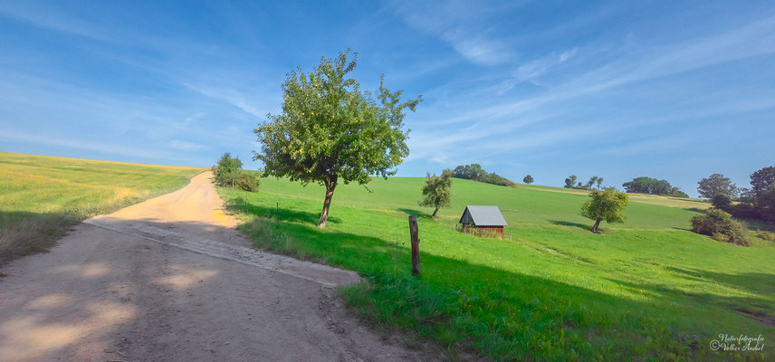 am Apfellehrpfad bei Cunnersdorf