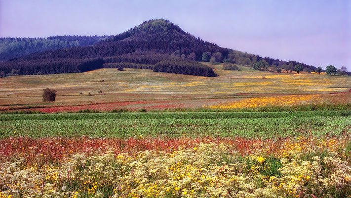 Der Lemberg, mit 1015,7m höchster Berg der Schwäbischen Alb