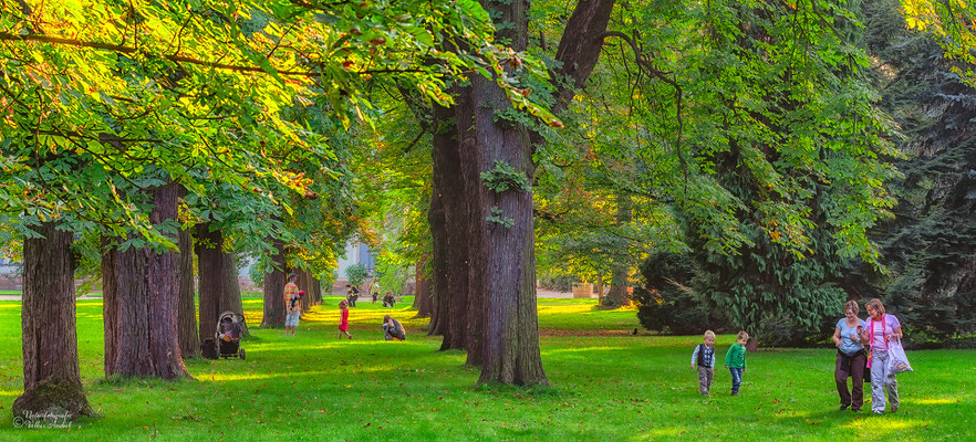 Auf Kastaniensuche im Schlosspark
