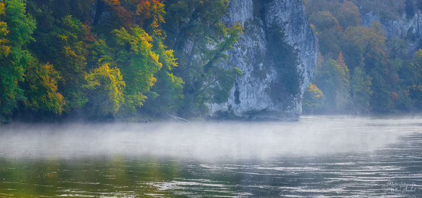 Morgennebel über der Donau