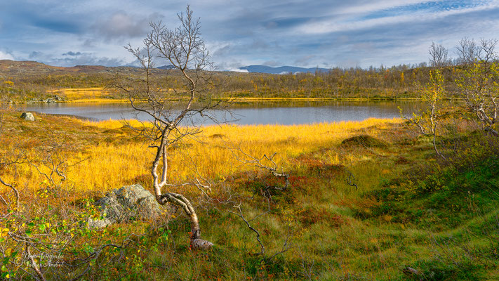 Kungsleden, in der Nähe vom Abisko Nationalpark