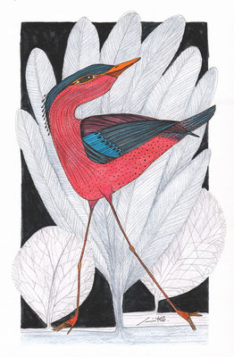 Oiseau de nuit : Aquarelle et encres. Jacinthe Lachance pour La Mosaïque, 2015