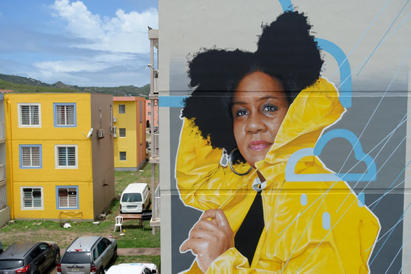 GRAND ECART (detail) - Acrylic and spraypaint on wall - 11 x 7 m - Saint-Martin (2021)