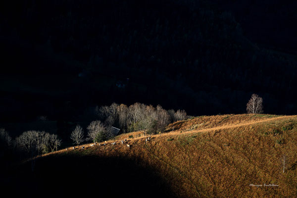 Vallée d'Aure 3