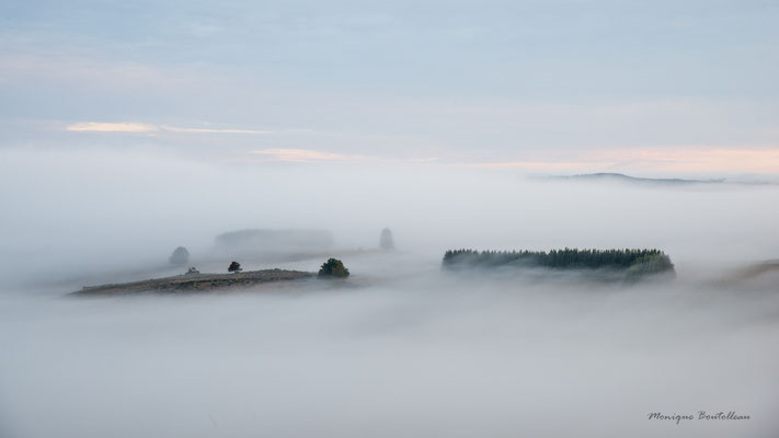 Matin d'Aubrac