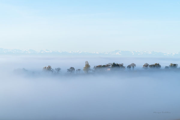 Vagues de brume