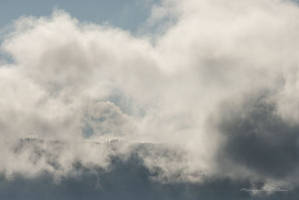 Nuage de brume