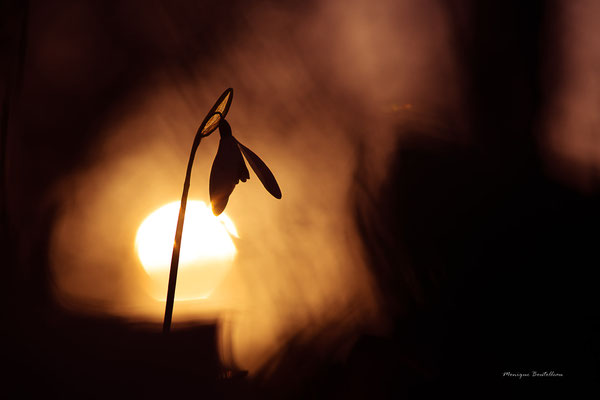 Lueur du soir