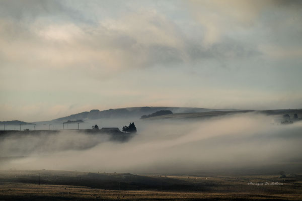 Doudoune du matin