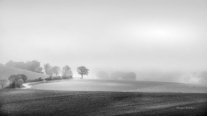 Solitude