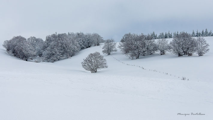 Hiver d'Aubrac