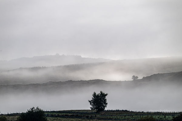 Bandeaux de brume