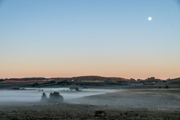 Dernière brume