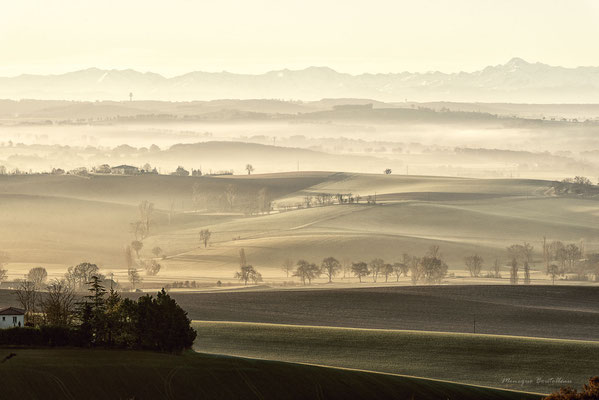 Verte campagne
