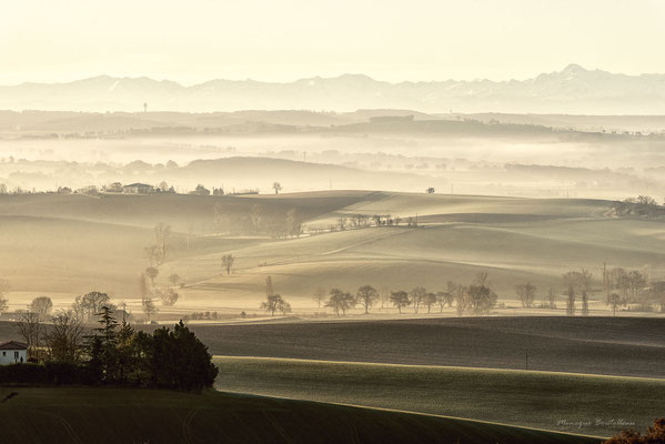 Verte campagne