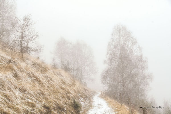 Au bout du chemin