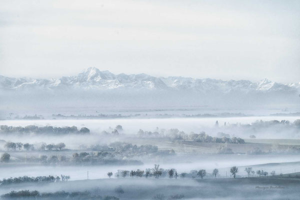 Sous l'oeil des Pyrénées