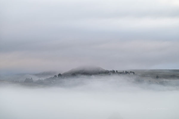 La tête dans la brume