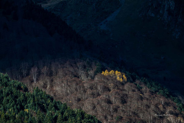 Vallée d'Aure1