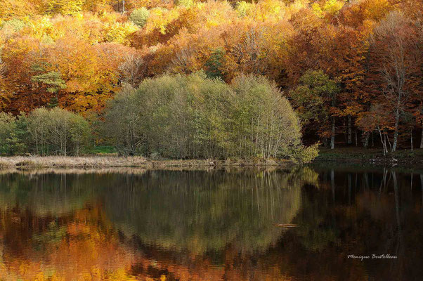 Lac des Picades