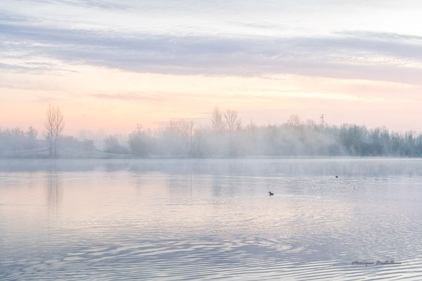 Douceur d'hiver