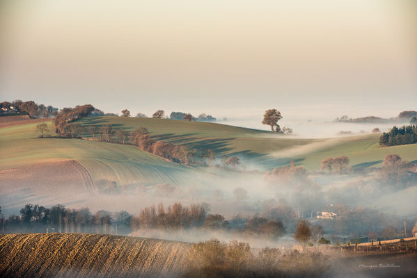 Paysage d'hiver