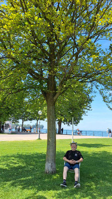 Ubbo rastet im Schatten...