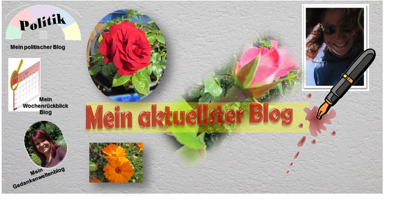 Neuster Blog