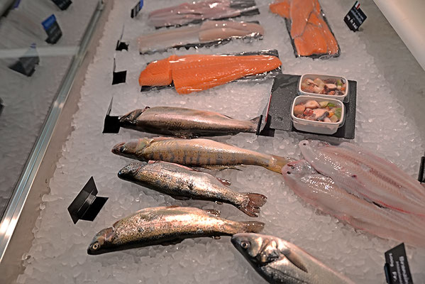 Fischverkauf und Fischhandel in Romanshorn