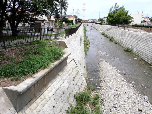 東山王橋から下流　左岸側にカワセミ営巣の護岸