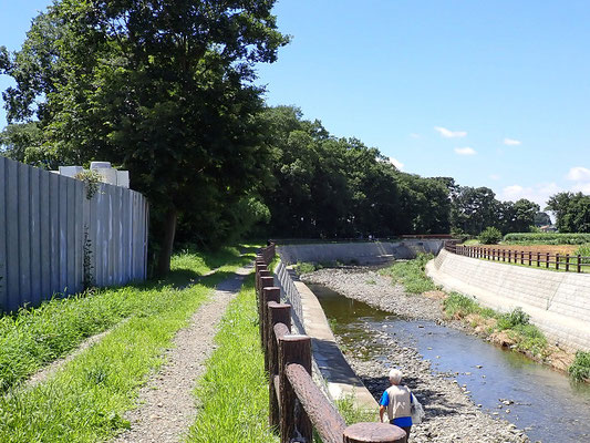 カーブする流れに沿って河畔林が素晴らしい